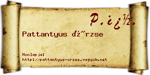 Pattantyus Örzse névjegykártya